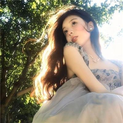 科西嘉岛的夏天